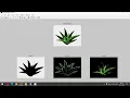 Identification of Ayurvedic Plants by leaf samples