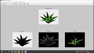 Identification of Ayurvedic Plants by leaf samples