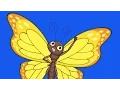 Learn Bugs Vocabulary Talking Flashcards