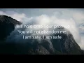 Shelter -  Vertical Worship (Lyric Video)