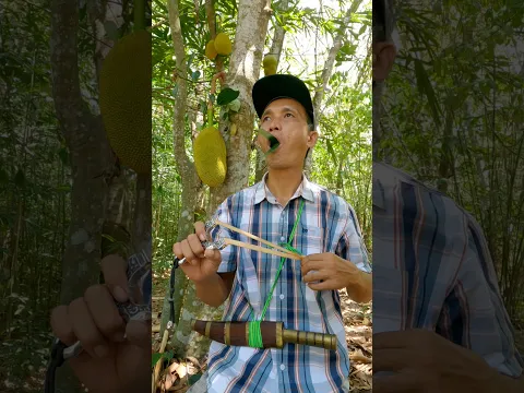 #entertainment #birdsounds #shorts