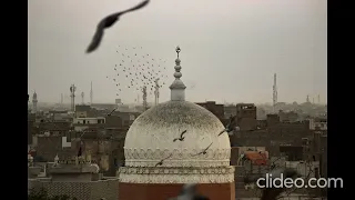 يا دعاة رب السماء يا من صنعتم في الأرض نورا 