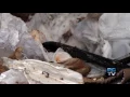 Pierce County waste sort finds lots of recyclables headed to landfill