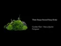 Caroline Shaw & Attacca Quartet - Three Essays: Second Essay (Echo) (Official Audio)