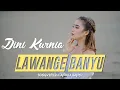 Lagu Dini Kurnia - Lawange Banyu (Official Music Video)