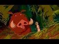 The Lion King Can you feel the love tonight HD