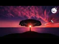 Download Lagu Safira inema - lirik lagu ku puja - puja (Dj full Bass)