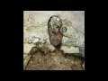 Negură Bunget - Cunoașterea Tăcută