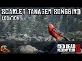 Scarlet Tanager Songbird Location - Red Dead Redemption 2