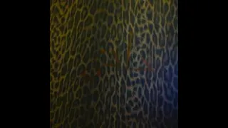                 أبيوسف دويتو دندنها