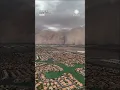 Giant Dust Storm Swallows Phoenix