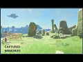 Captured Memory Walkthrough ZELDA S RESENTMENT