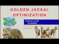 Golden Jackal Optimization Algorithm Step-By-Step xRay Pixy