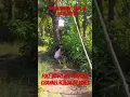 Download Lagu MAG JOWA NAGTALIK SA KASAGBUTAN @Kupalgods #trending #trendingshorts #viral #shorts #ytshorts