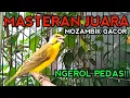 Download Lagu Mozambik Gacor Speed Rapat NGEROL PEDAS untuk masteran.