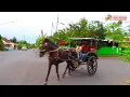 Download Lagu 🐴 allahul kafi robbunal kafi wajadnal kafi Delman Istimewa di Purbalingga | Kuda Delman Purbalingga