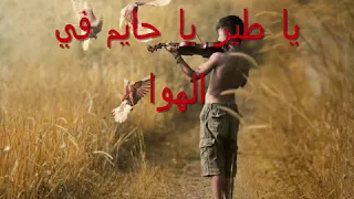 أغنية مسألة مبدأ عمر خيرت 