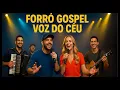 Download Lagu Gospel Forró dat het hart raakt!