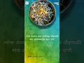 motivational video #status #love #vadalvaat
