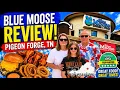 Blue Moose Review BEST Burgers Wings in Pigeon Forge