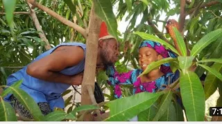 dan iskan bebe ya dora matar aure a kan bishiya yana mata iskanci