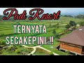Lagu PADI RESORT PANCAWATI BOGOR (PART 1) | NYOBAIN STAYCATION DISINI