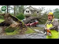 Lagu Idiots With Chainsaws: Tree Cutting Fails \u0026 Tree Falling on Houses Compilation #18