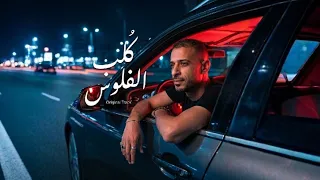 مهرجان   كلب الفلوس    ضيعت العمر قبل ما اقبلك   عمرو المالحي                  دندنها
