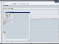 SAP BPC 10 1 - Debugging Fox Formulas