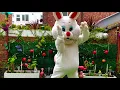 Every Bunny Dance Now