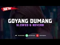 DJ Goyang Dumang ( Slowed \u0026 Reverb ) 🎧