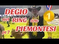 Lagu FIERA AGRICOLA VERONA DEGIO nel RING con la RAZZA PIEMONTESE pt 7 