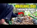 Download Lagu Di tempat yang dulu pernah kita ambil juga sudah di huni lebah lagi
