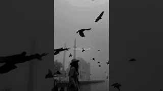 ياسمين نيازي راجع تقولي عايزني دوا سلامات يا هوي  ياسمين نيازي راجع تقولي عايزني دوا سلامات يا هوي
