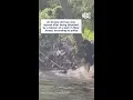 8-year-old boy attacked by beaver at New Jersey park hospitalized
