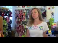 Affordable pet supply store hosts adoption event