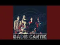 Lagu Gadis Cantik