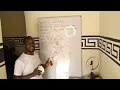 Tuition on parallel vectors How to solve parallel vectors