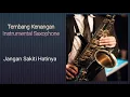 Lagu Jangan Sakiti Hatinya Iis Sugianto | Instrumental Saxophone | The Songs