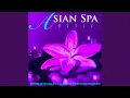 Asian Massage Therapy