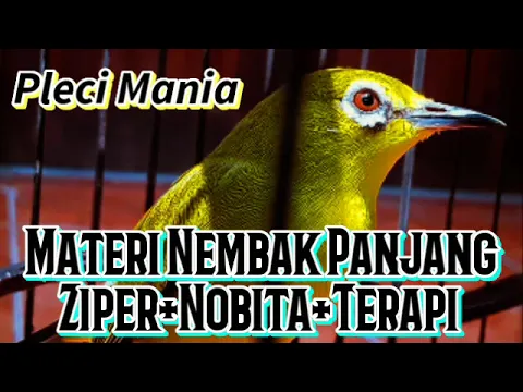 Download MP3 Materi Pleci Nembak Ziper Nobita +  Terapi Paling Ampuh!!!!