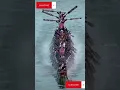 Download Lagu pacu jalur viral di tiktok. live hari ini. #pacujalurtiktok