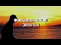 Download Lagu Manusia bodoh-ada band(Felix cover)
