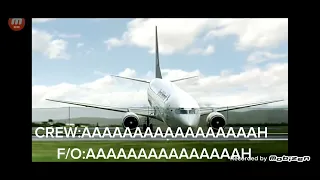 GARUDA INDONESIA FLIGHT 200 CVR