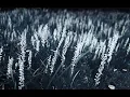 Download Lagu [No Copyright Sound] Dance\u0026EDM [ Electronic ] [ FREE USE MUSIC ]  - Forrest Keller - Long Ago