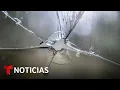 Multiples tiroteos en Chicago dejan a siete personas muertas y 38 heridas Noticias Telemundo