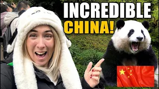 在成都见到中国最红的熊猫