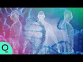 Building the Ultimate Map of the Human Body