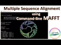 Multiple Sequence Alignment using MAFFT