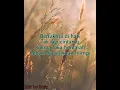 Download Lagu KASIH BERBUNGA LALANG - RIMA RASHIDI